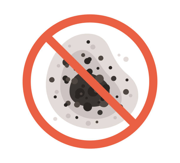 Reliable Clifton Gardens, NY Mold Removal Solutions