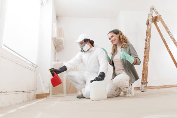 Mold Odor Removal Services in Clifton Gardens, NY